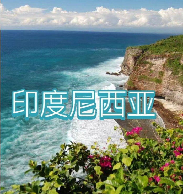 际电商(印尼)产业博览会开元棋牌2025中国国